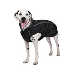 Shedrow K9 -Chinook Designer Dog Coat