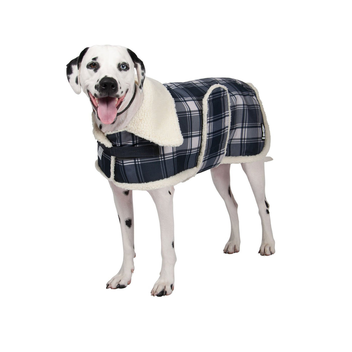 Shedrow hotsell dog coat