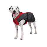 Shedrow K9 -Chinook Designer Dog Coat