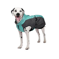 Shedrow K9 -Chinook Designer Dog Coat